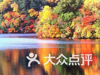 蓝狐视频