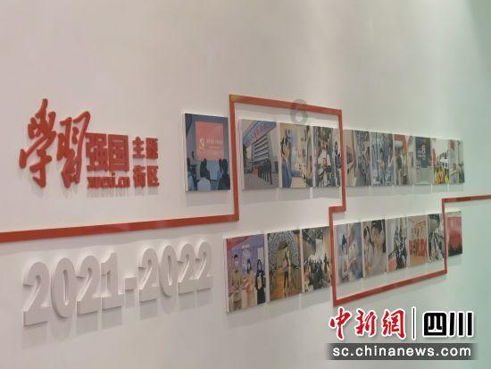 救援受困的老虎
