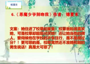 可爱的小考拉