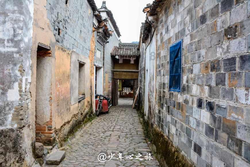 《第二十条》预售开启,赵丽颖与马丽高叶打扑克,调侃“丈夫”潘斌龙不敢和她坐一块